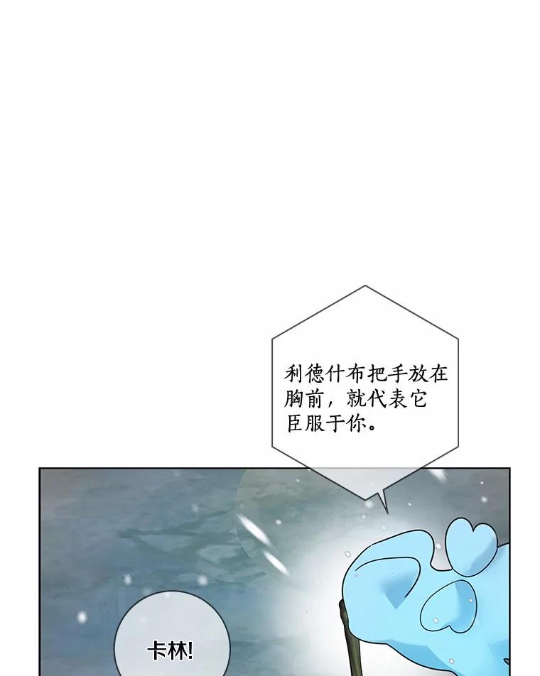 《龙套大公子妃的花路人生》37.魔物之王 第30页
