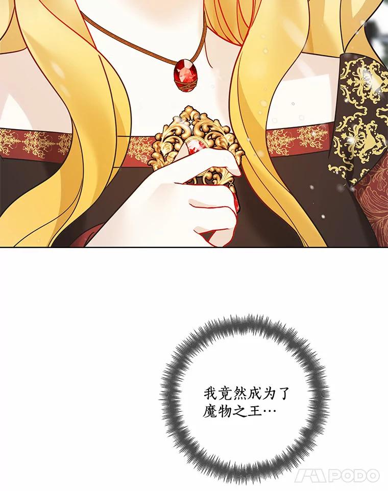 《龙套大公子妃的花路人生》37.魔物之王 第64页