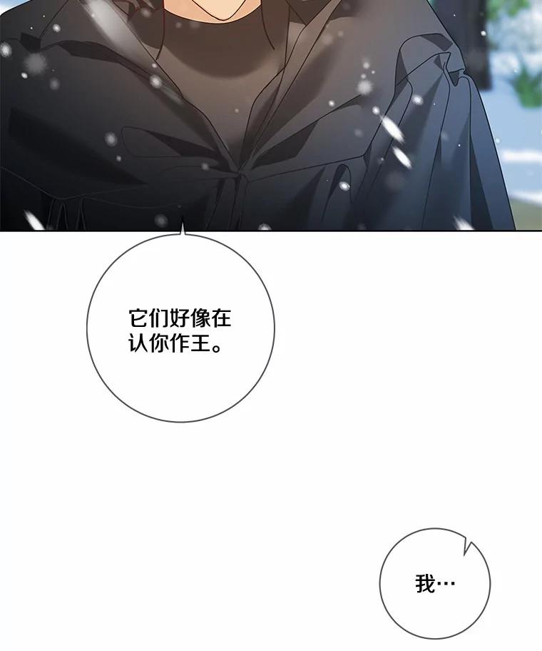 《龙套大公子妃的花路人生》37.魔物之王 第19页