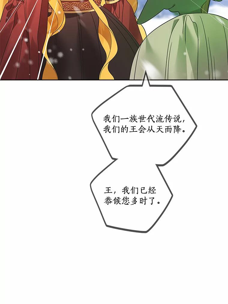 《龙套大公子妃的花路人生》37.魔物之王 第44页