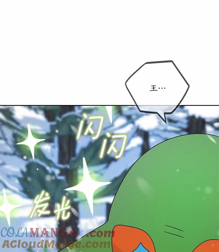 《龙套大公子妃的花路人生》37.魔物之王 第49页