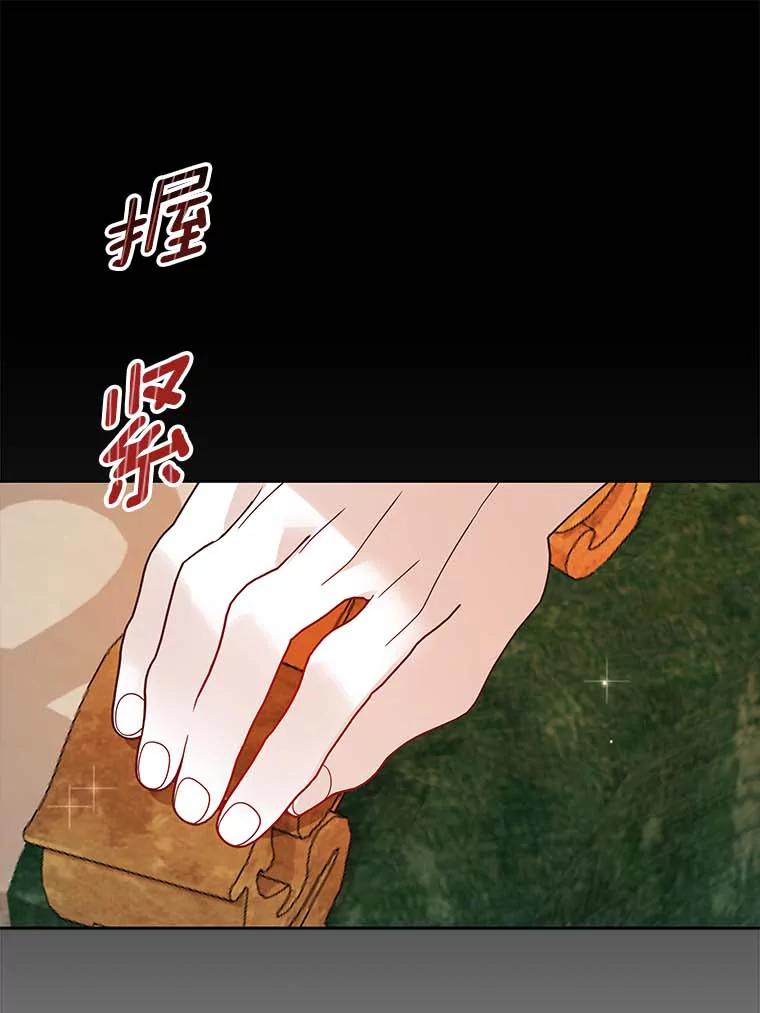 《龙套大公子妃的花路人生》38.同意继位 第19页