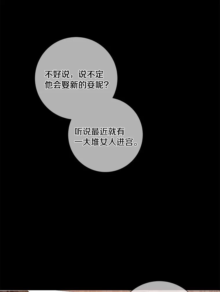 《龙套大公子妃的花路人生》38.同意继位 第59页