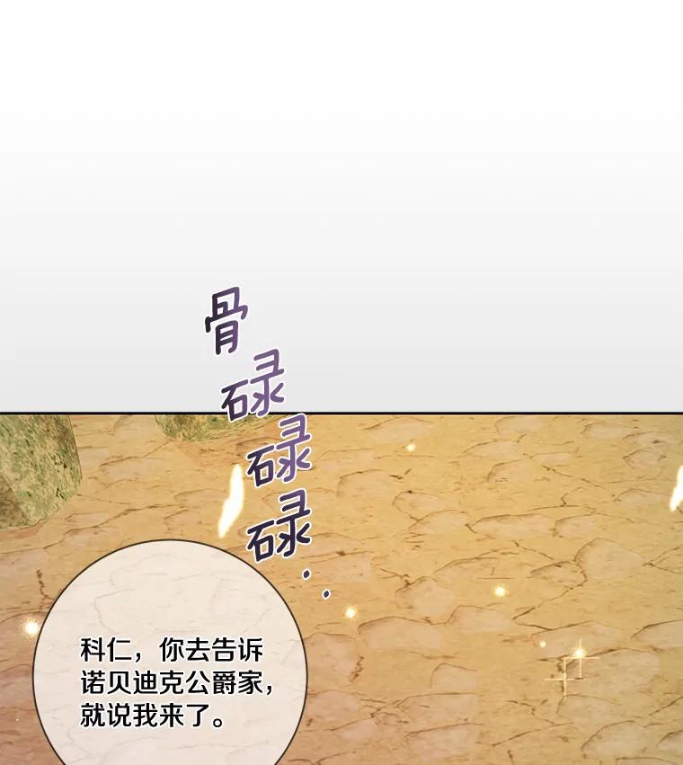 《龙套大公子妃的花路人生》40.迎春庆典 第120页