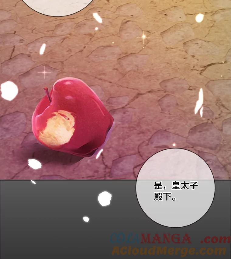 《龙套大公子妃的花路人生》40.迎春庆典 第121页