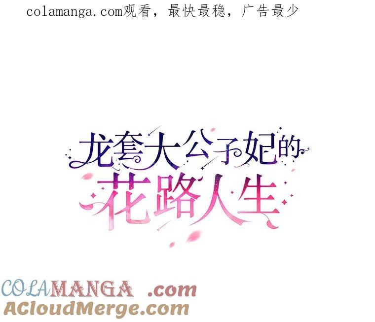 《龙套大公子妃的花路人生》41.占卜 第1页