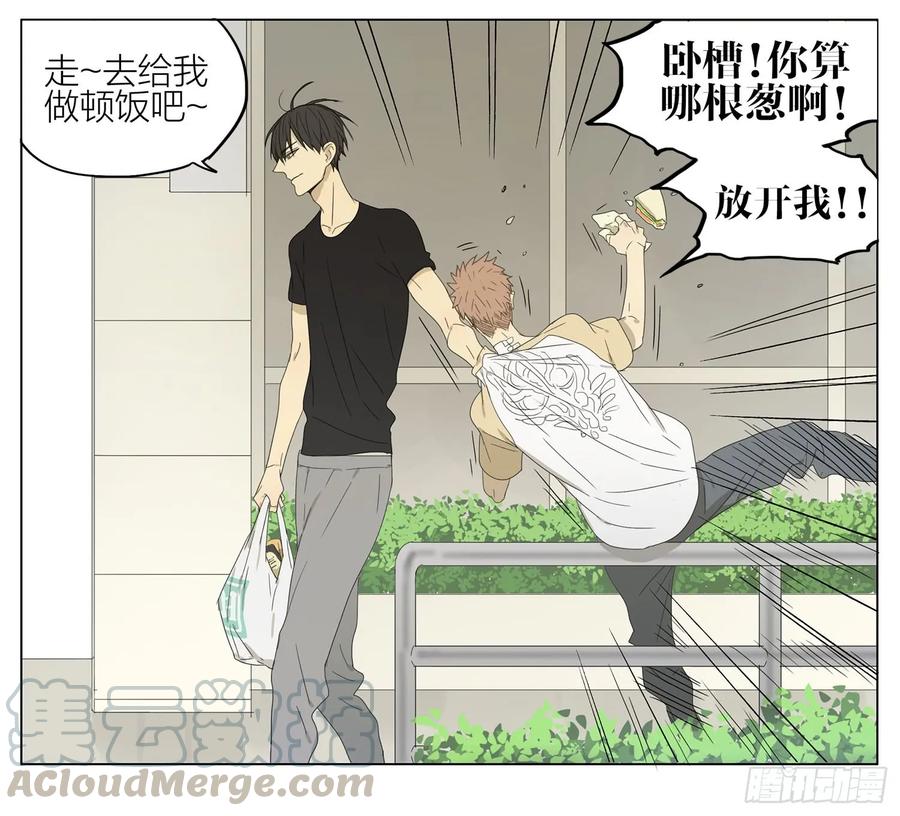 19天 街角偶遇 第7页