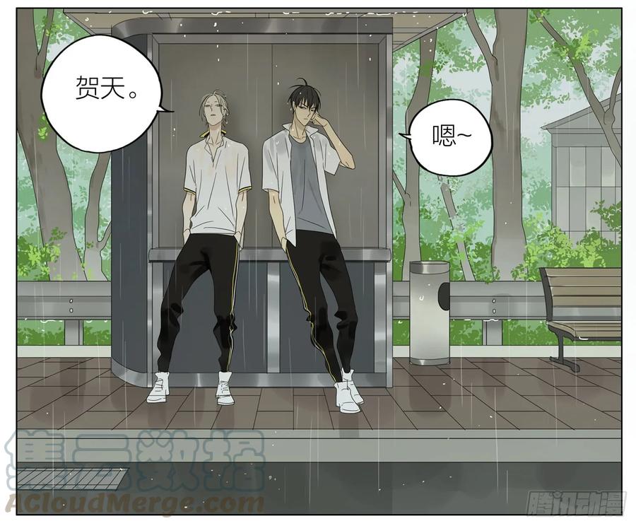 19天 遮雨 第3页