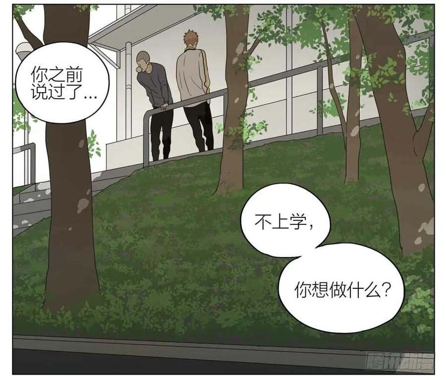 19天 想退学 第5页