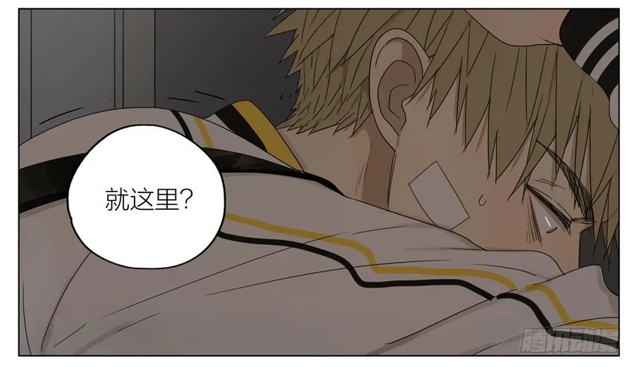 19天 谢谢你 第15页