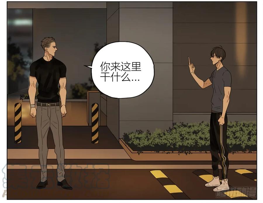 19天 承诺 第13页