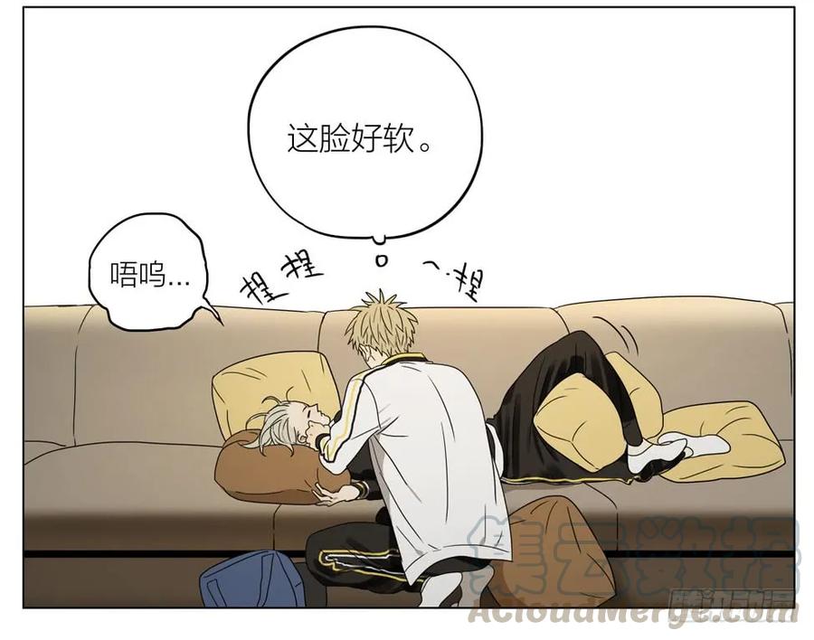 19天 硬撑 第7页