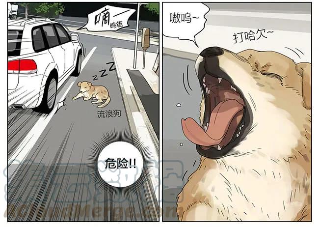 19天 请假 第5页