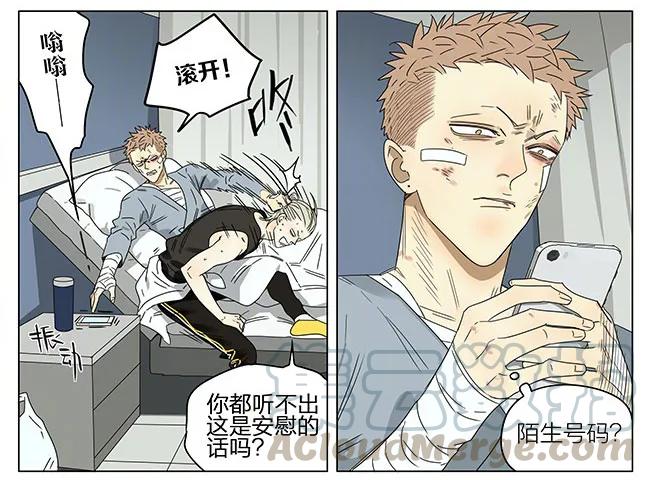 19天 探望 第11页