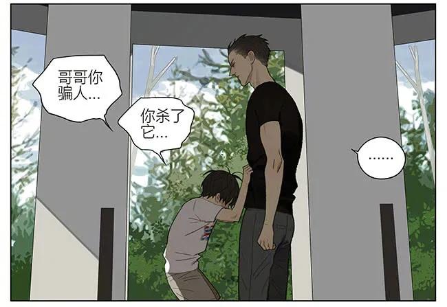 19天 兄弟 第2页