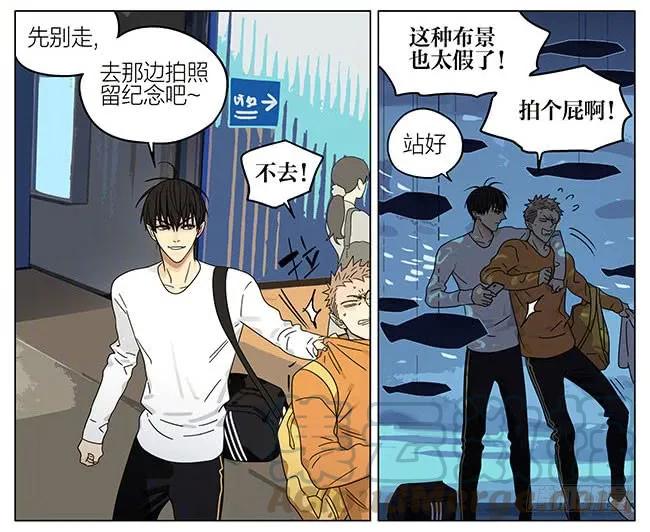 19天 海洋馆 第9页