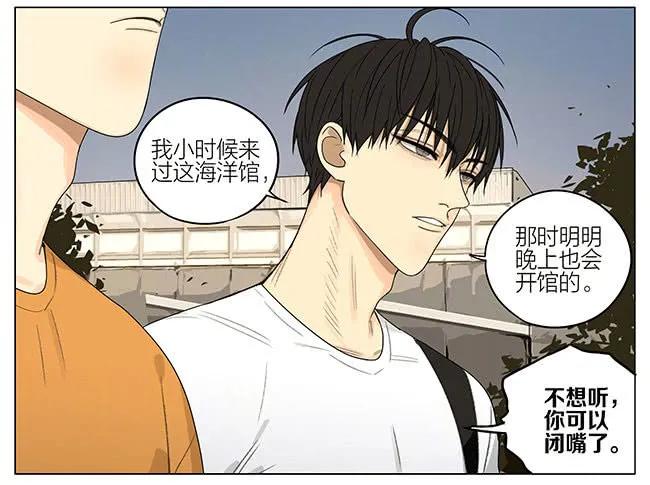 19天 海洋馆 第8页