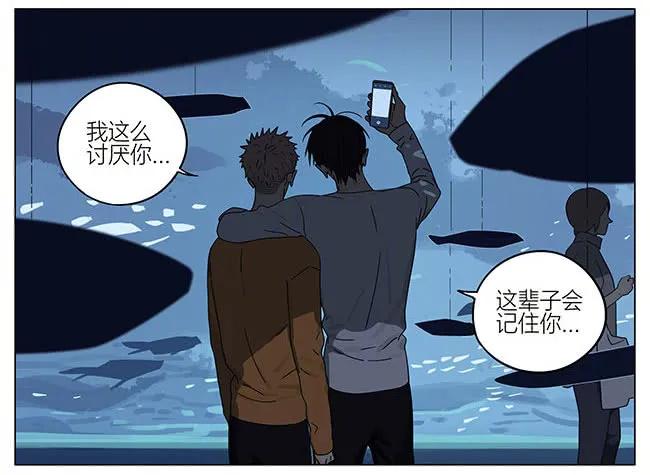 19天 海洋馆 第12页