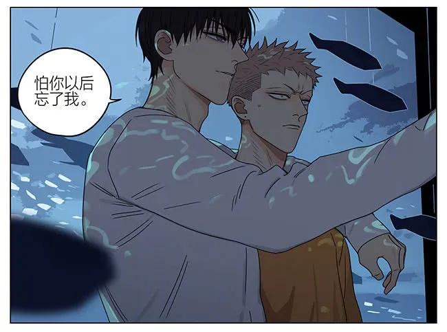 19天 海洋馆 第10页