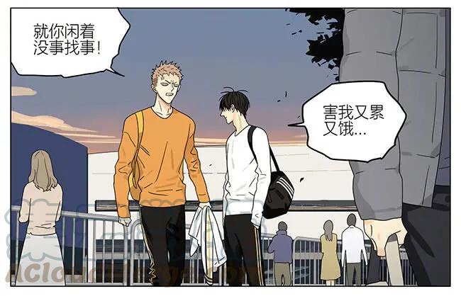 19天 海洋馆 第7页