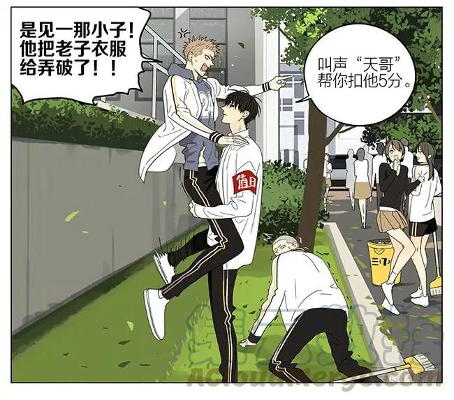 19天 活动 第13页