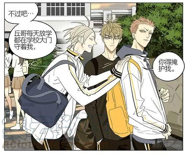 19天 放假 第3页
