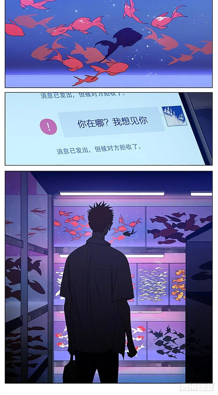 19天 楼下 第8页