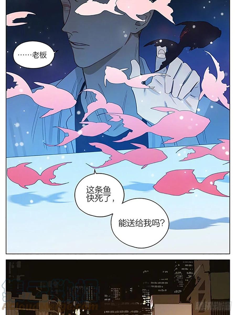 19天 金鱼 第2页
