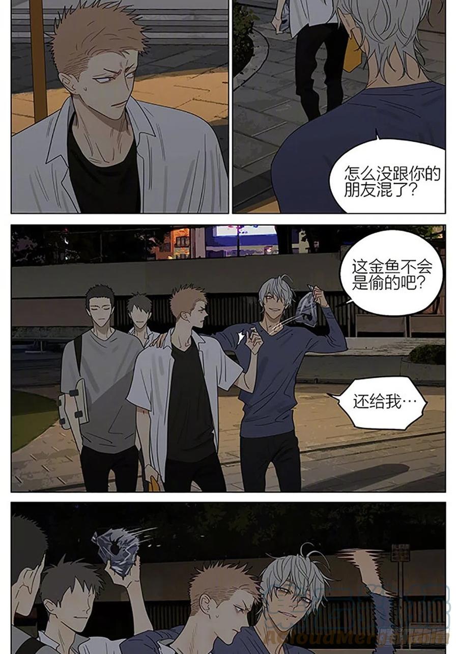 19天 金鱼 第8页