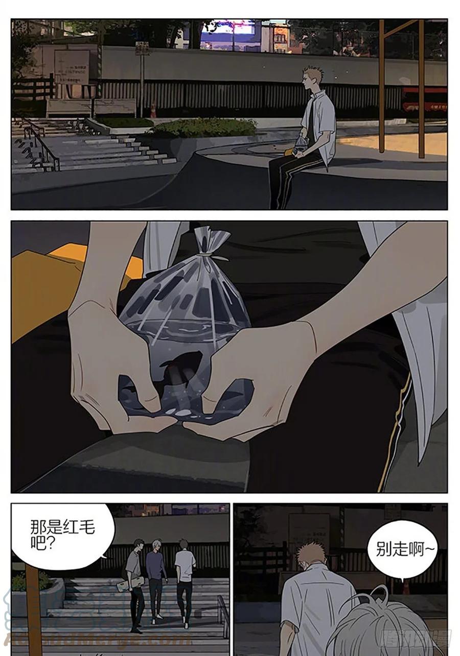 19天 金鱼 第7页