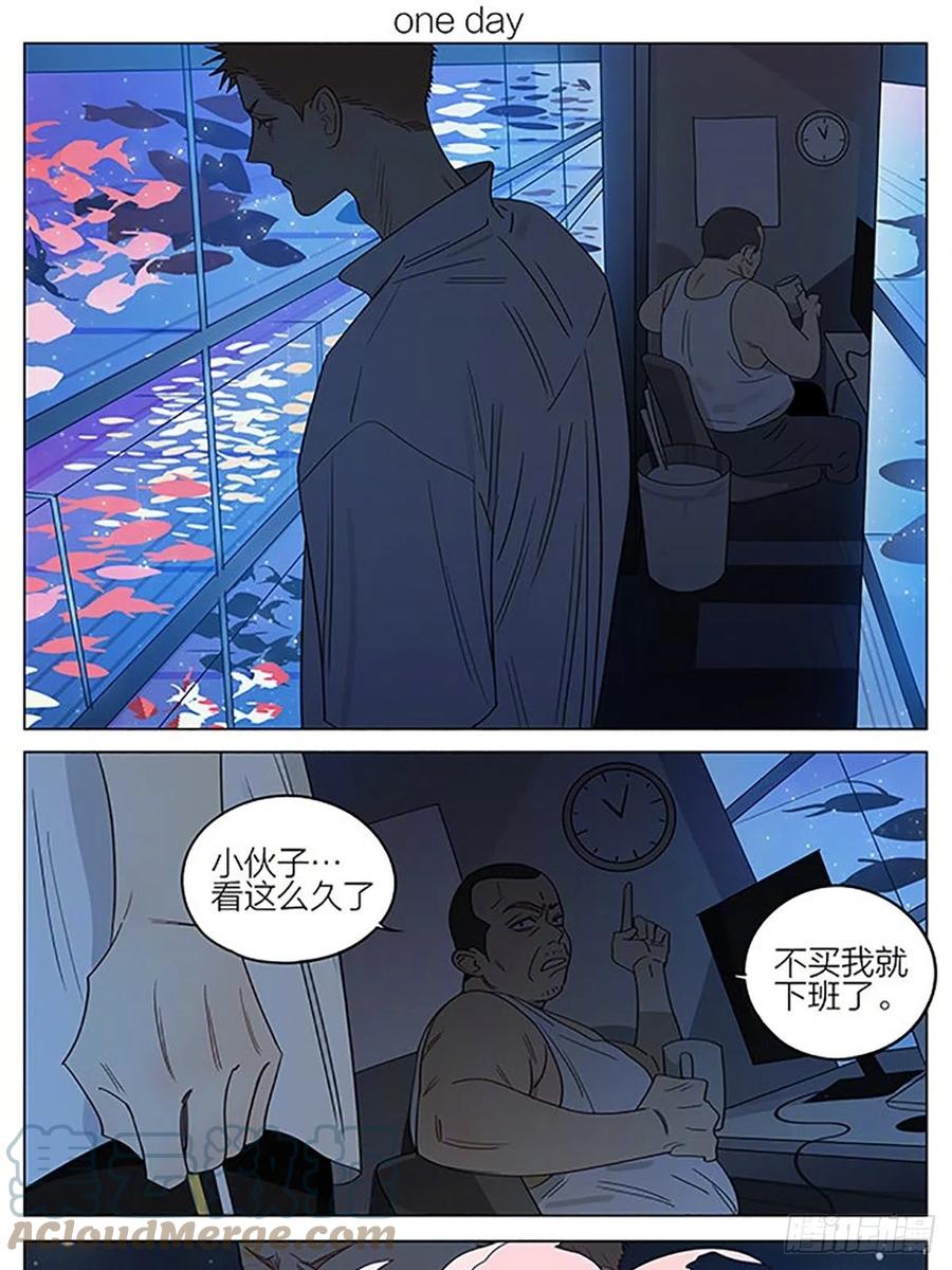 19天 金鱼 第1页