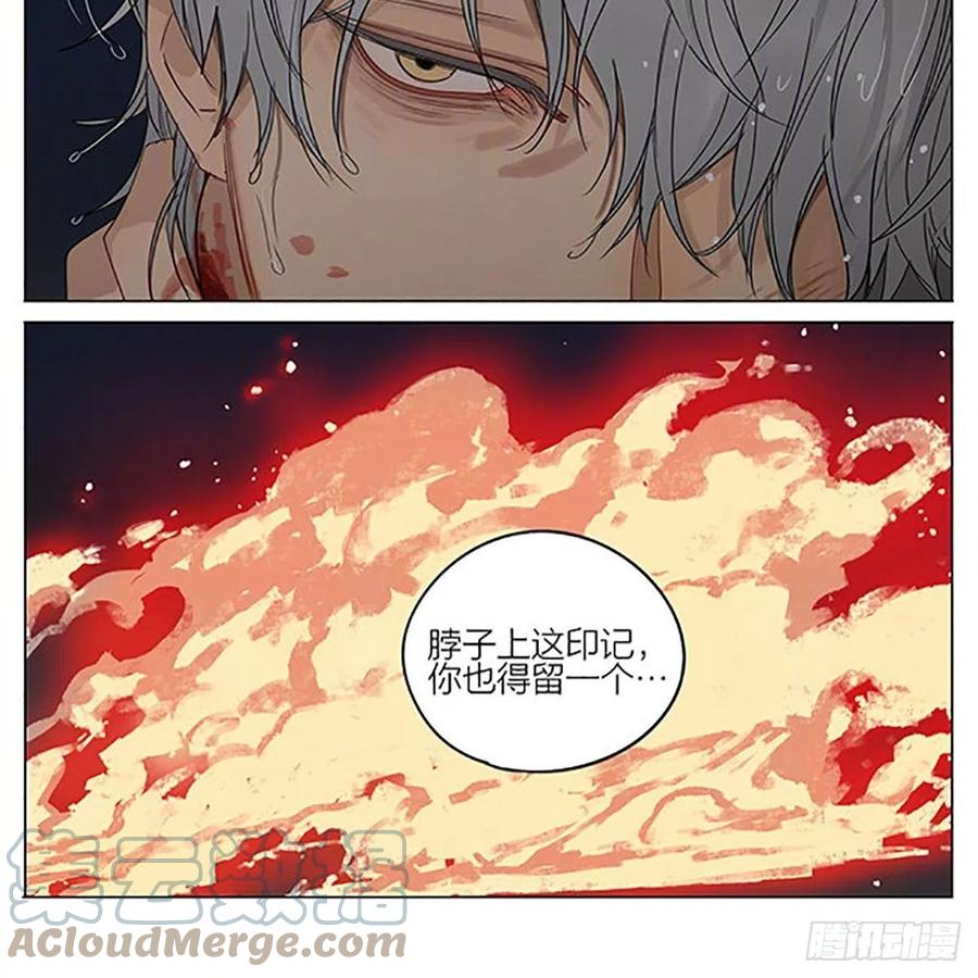 19天 同类 第7页