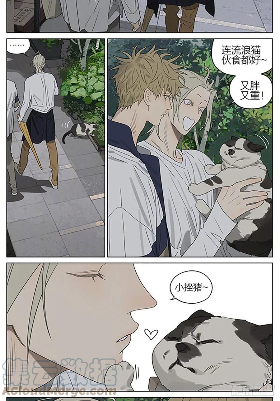 19天 流浪猫 第3页