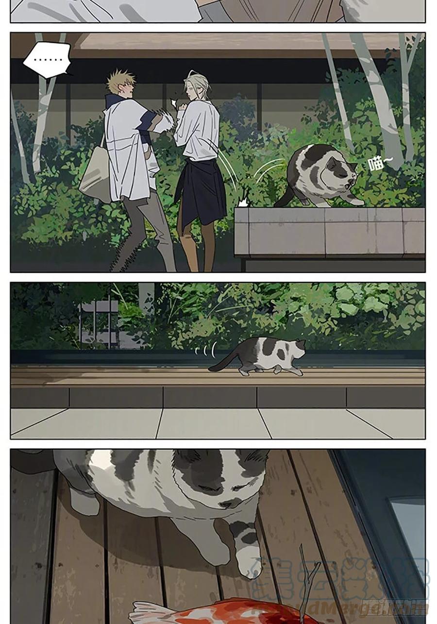 19天 流浪猫 第5页