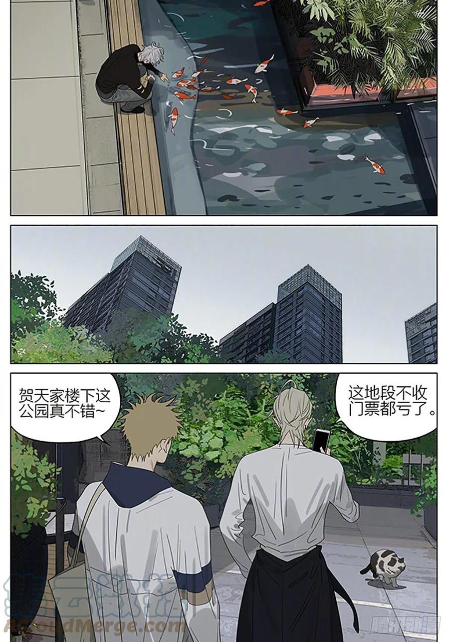 19天 流浪猫 第2页