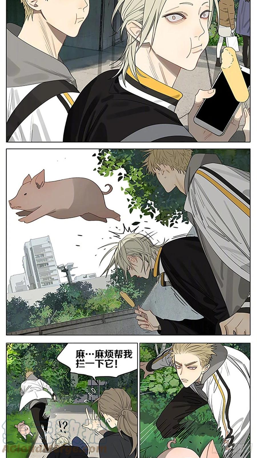 19天 小猪 第2页