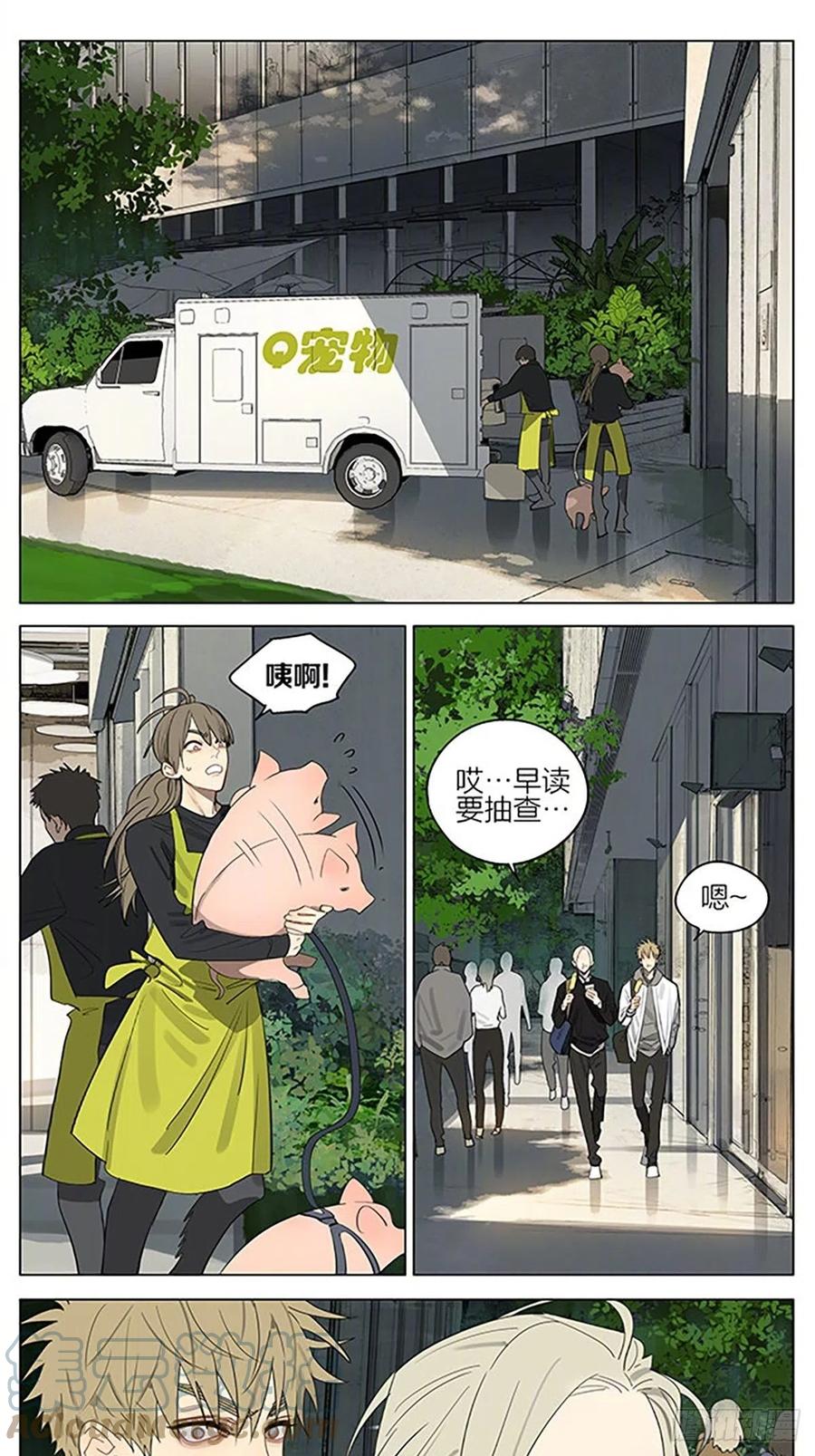 19天 小猪 第1页