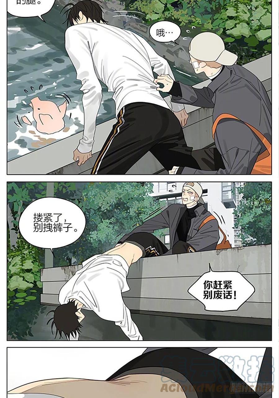 19天 小猪 第8页