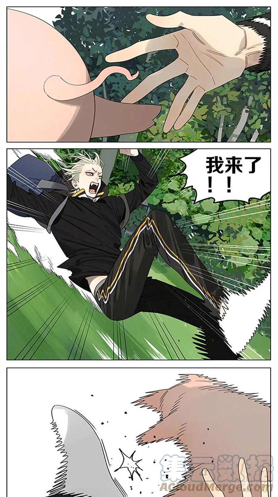 19天 小猪 第4页