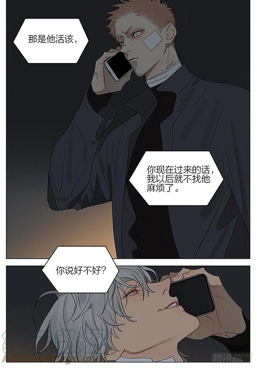 19天 降下夜幕 第5页