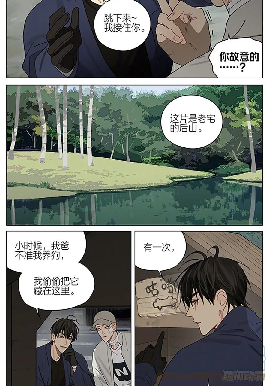 19天 后山 第8页