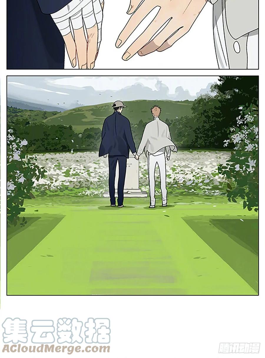 19天 花海 第5页