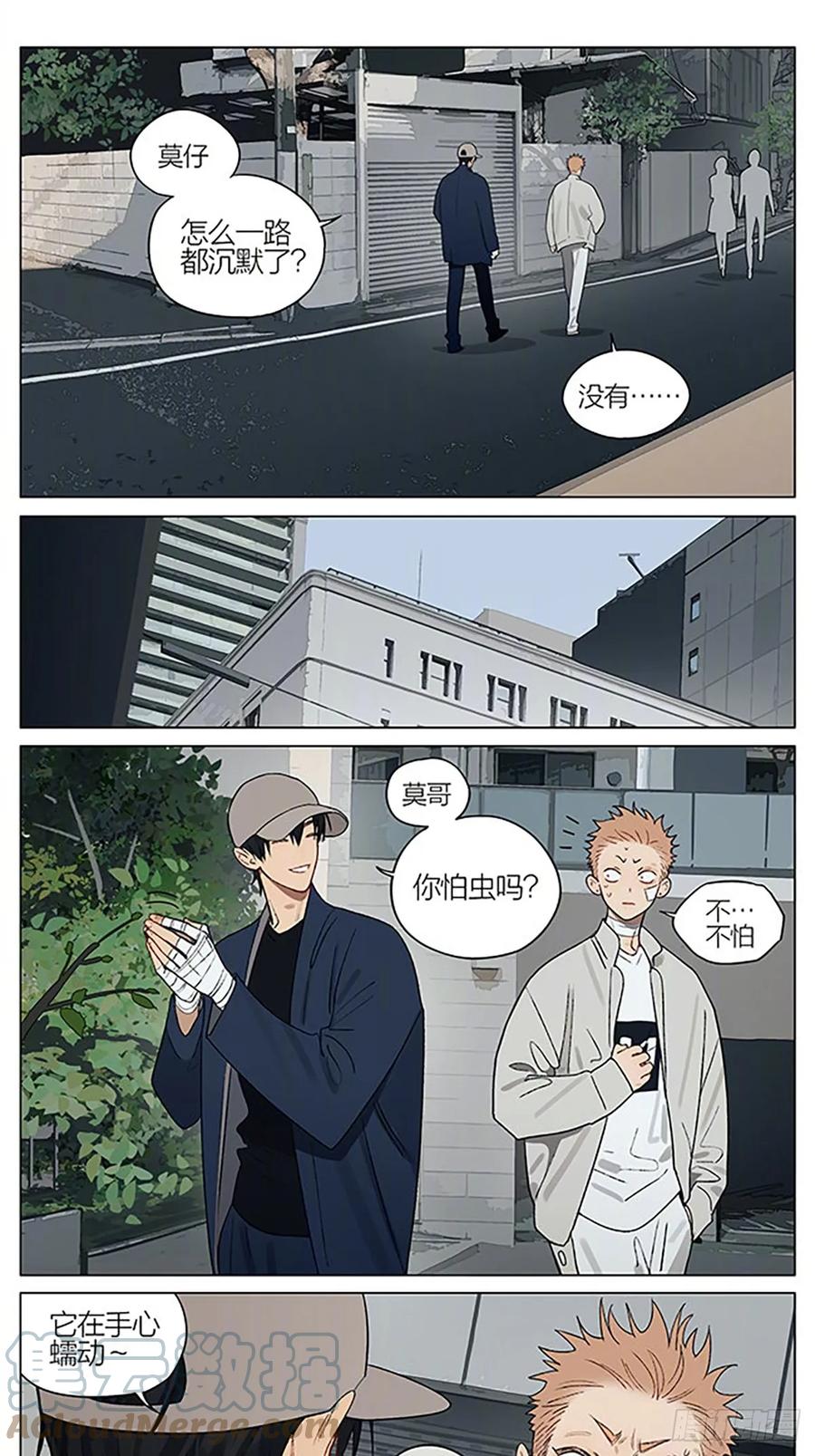 19天 花海 第6页