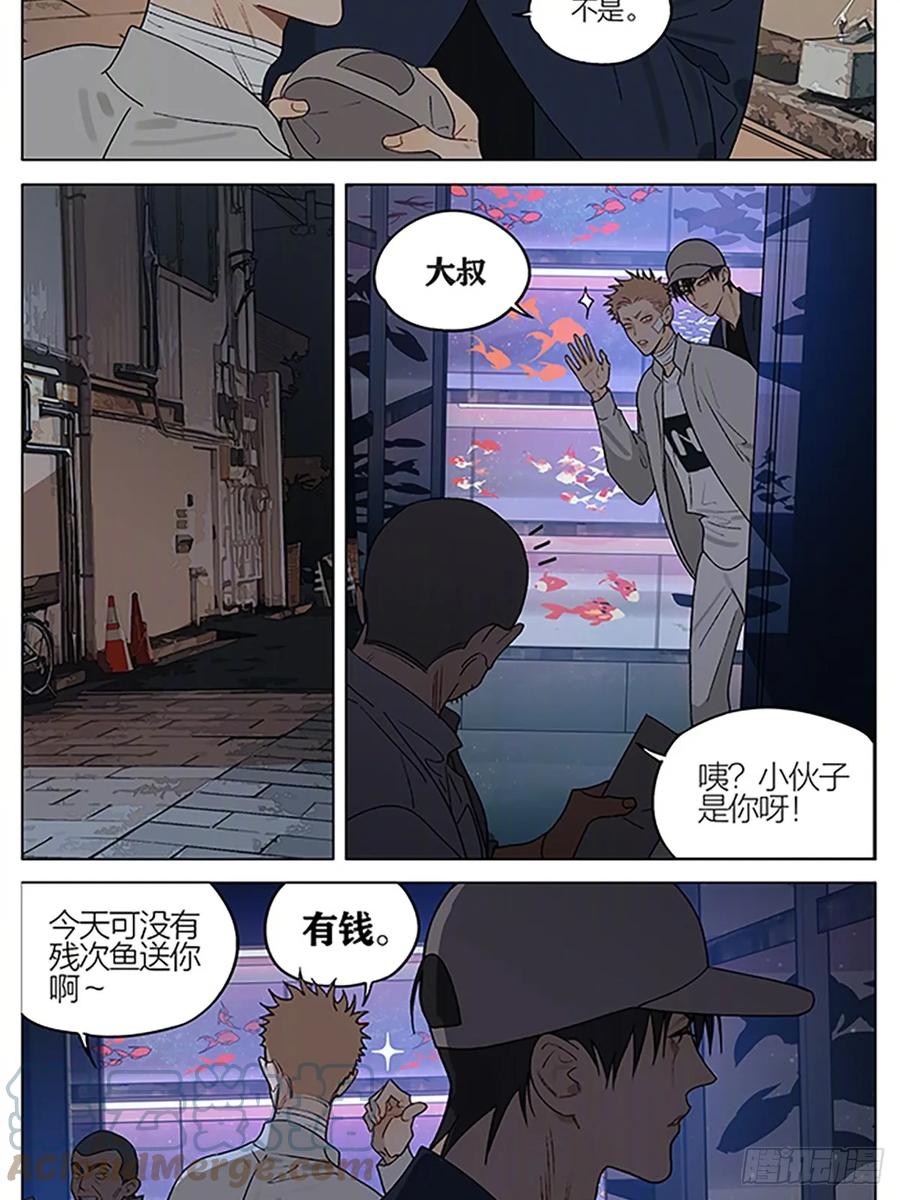 19天 金鱼店 第2页
