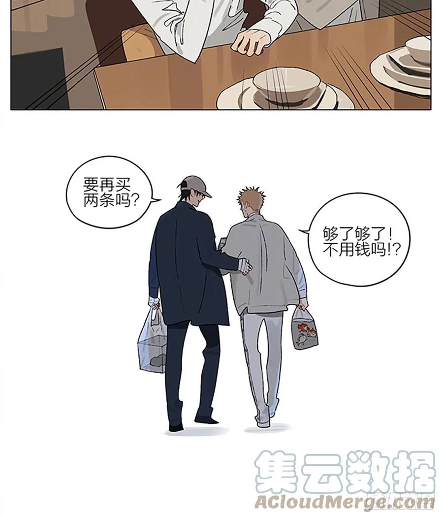 19天 金鱼店 第7页