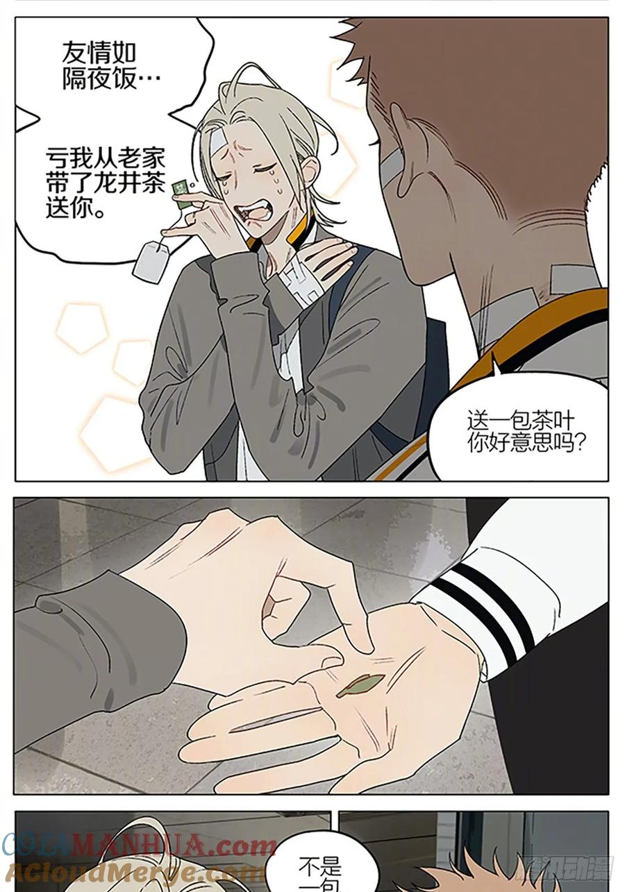 19天 茶叶 第3页