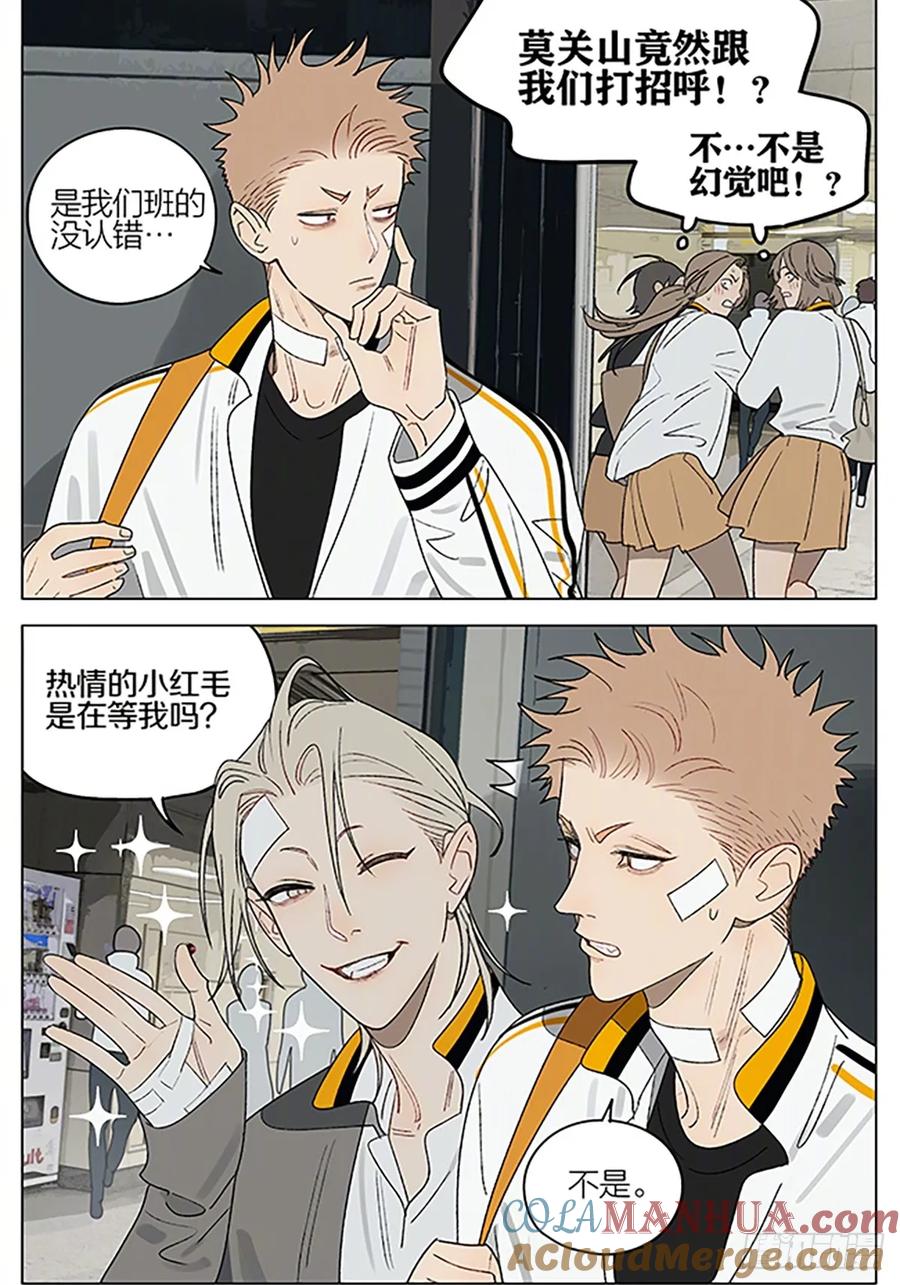 19天 茶叶 第2页