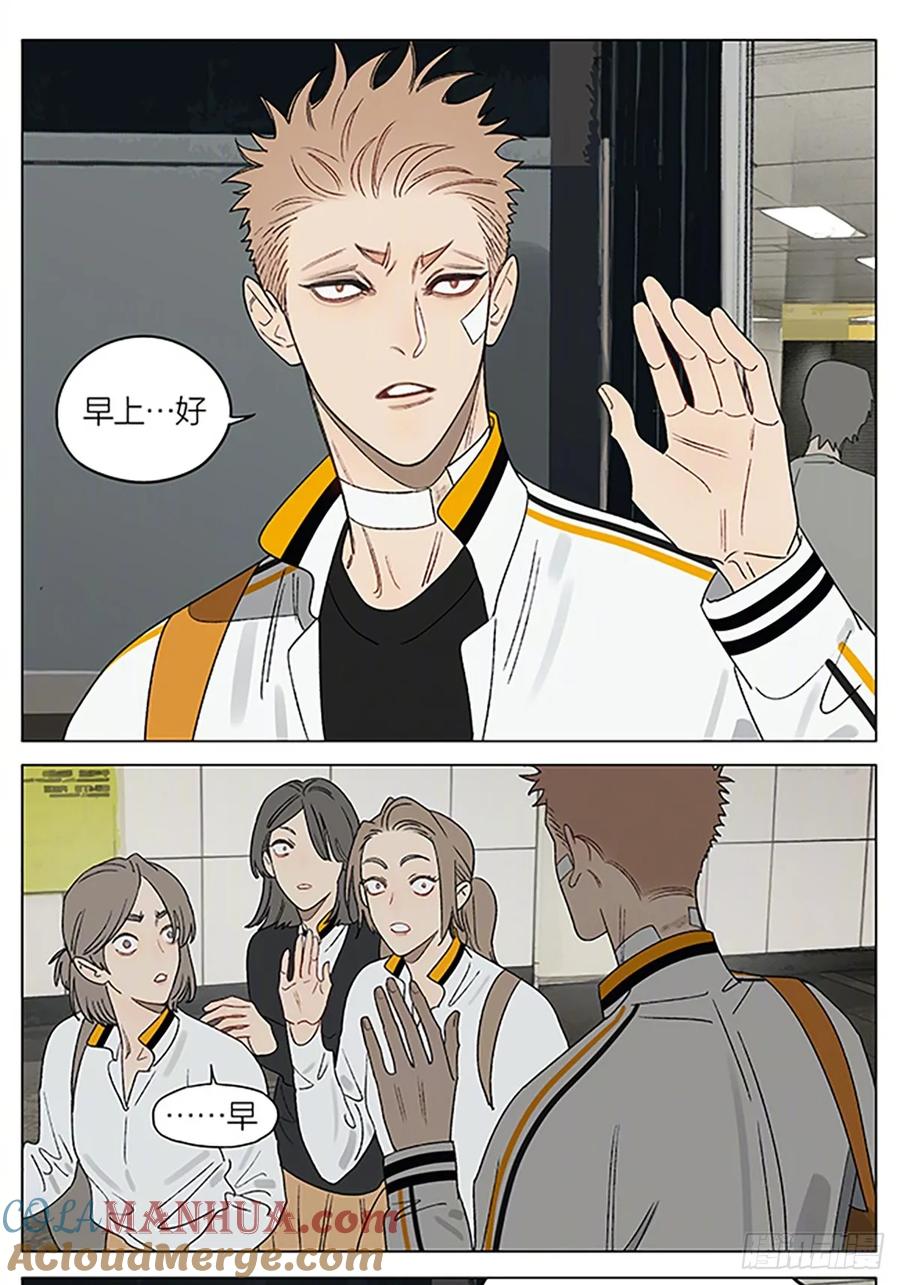 19天 茶叶 第1页