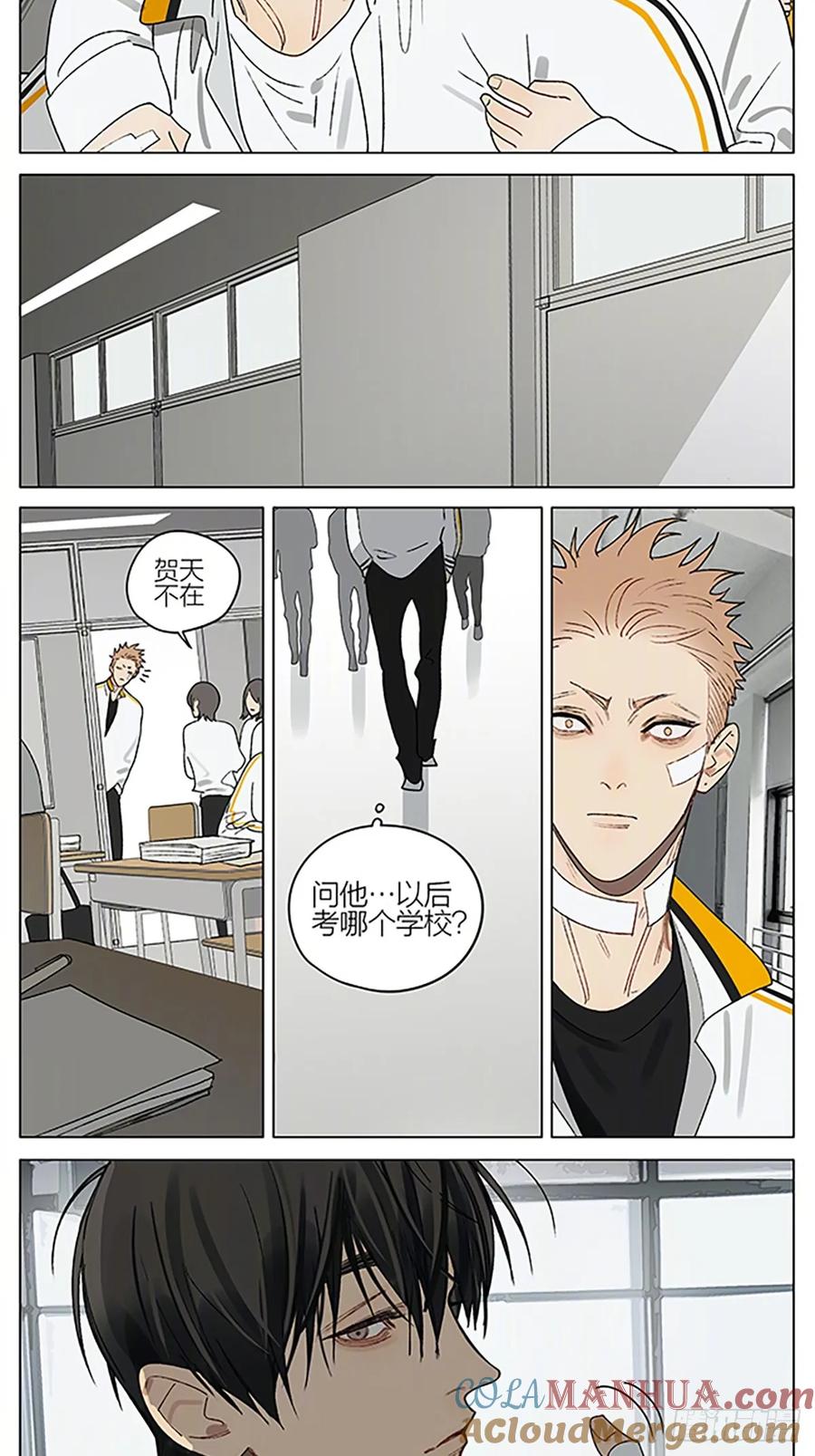 19天 笨瓜 第3页
