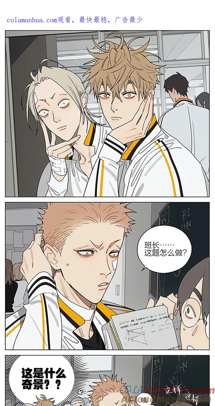 19天 笨瓜 第1页